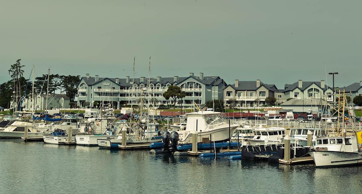 Half moon bay California (53524393734)