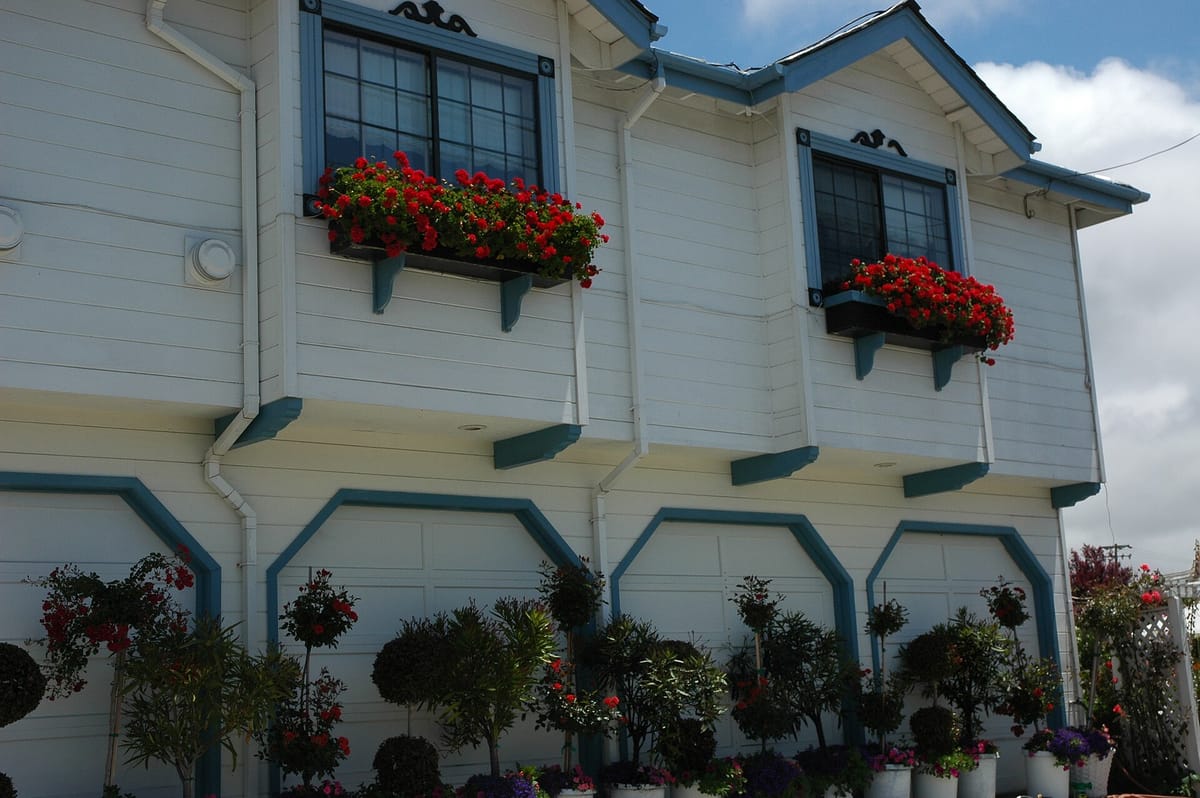 Red geraniums in window boxes on a Half Moon Bay house