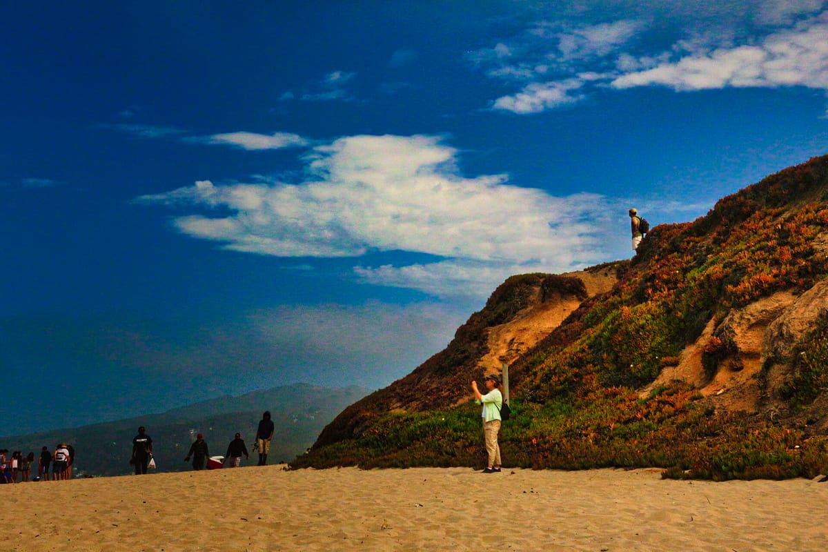 Beachgoers below a golden bluff on a clear day