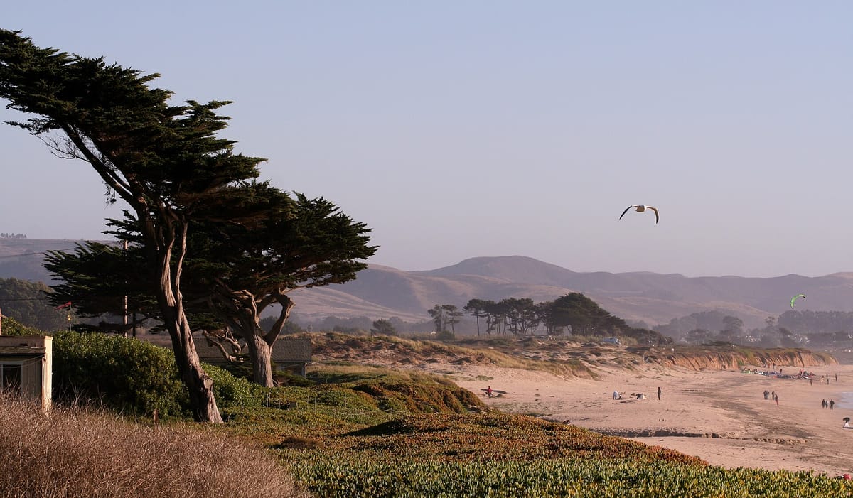 Half Moon Bay (1995336880)