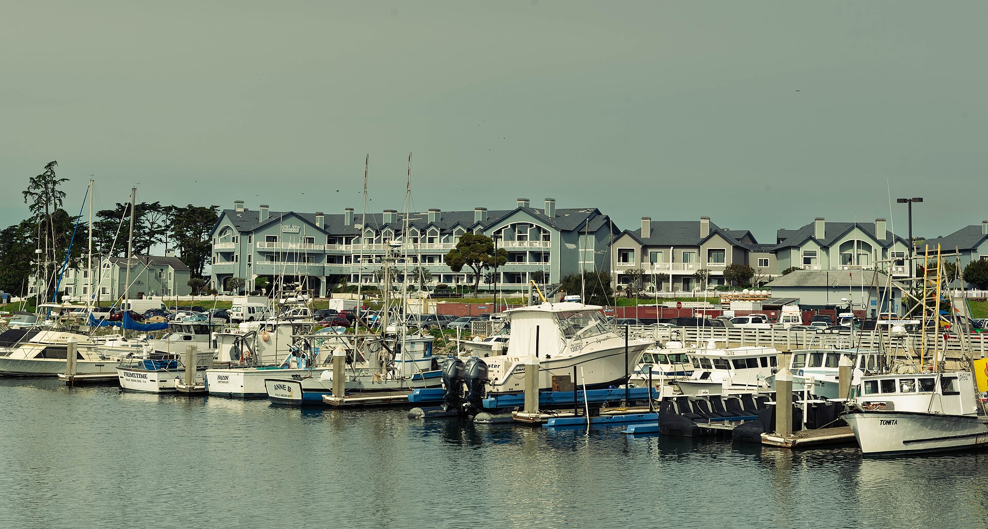 Half moon bay California (53524393734)