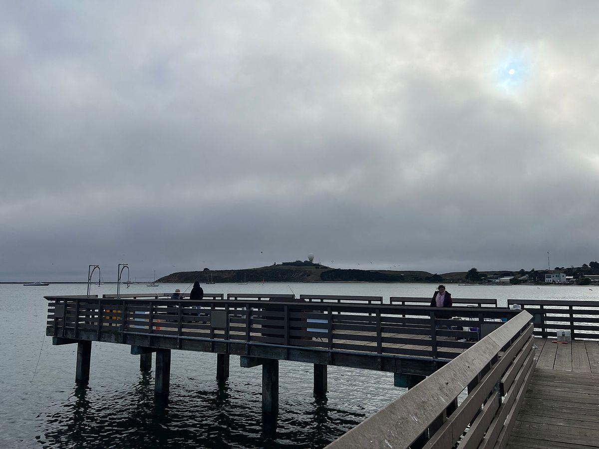 Pillar Point Harbor 2024-08-01 1