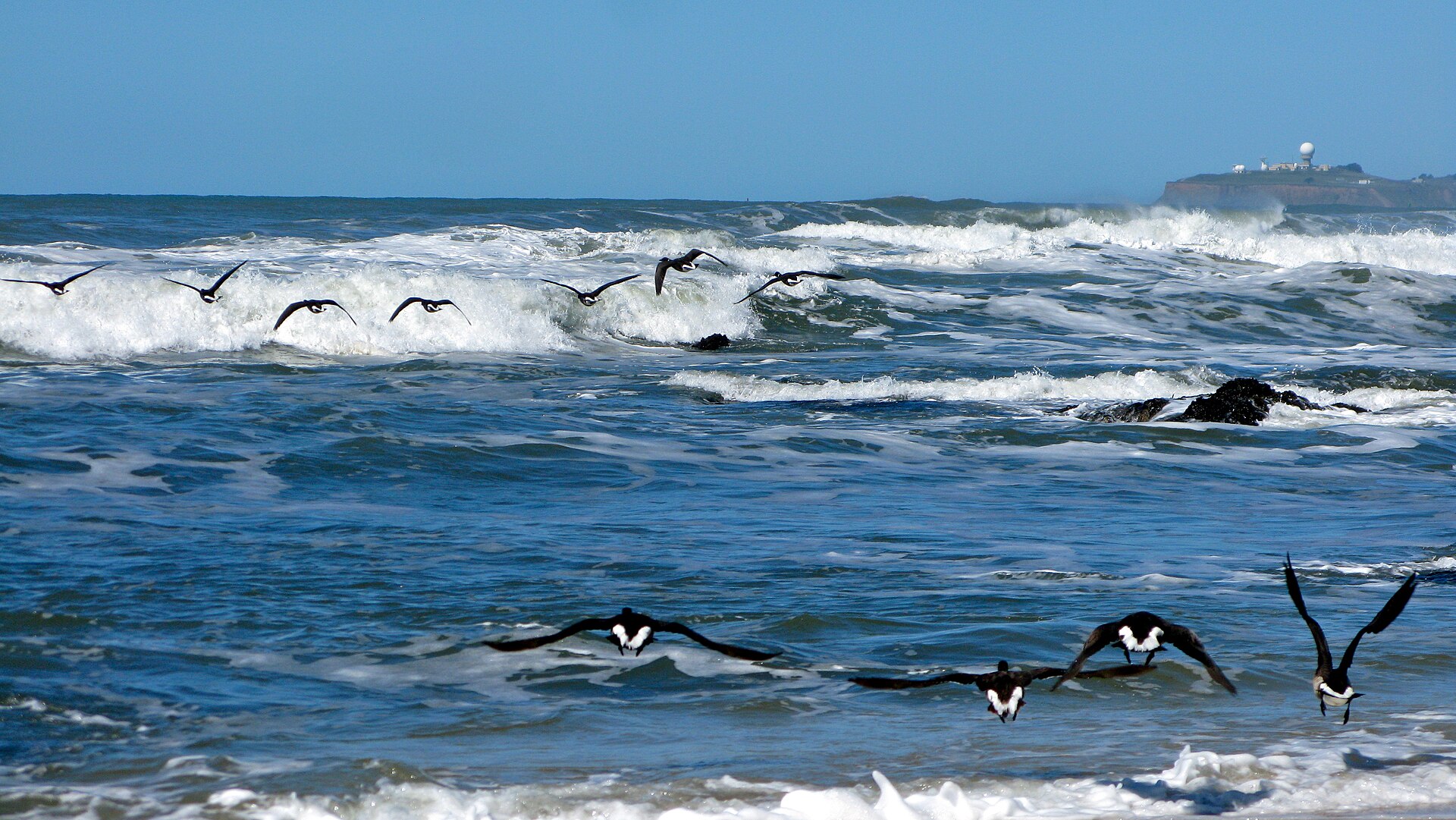 Wave Riders (4434630158)