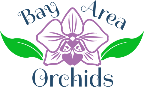 Bay Area Orchids