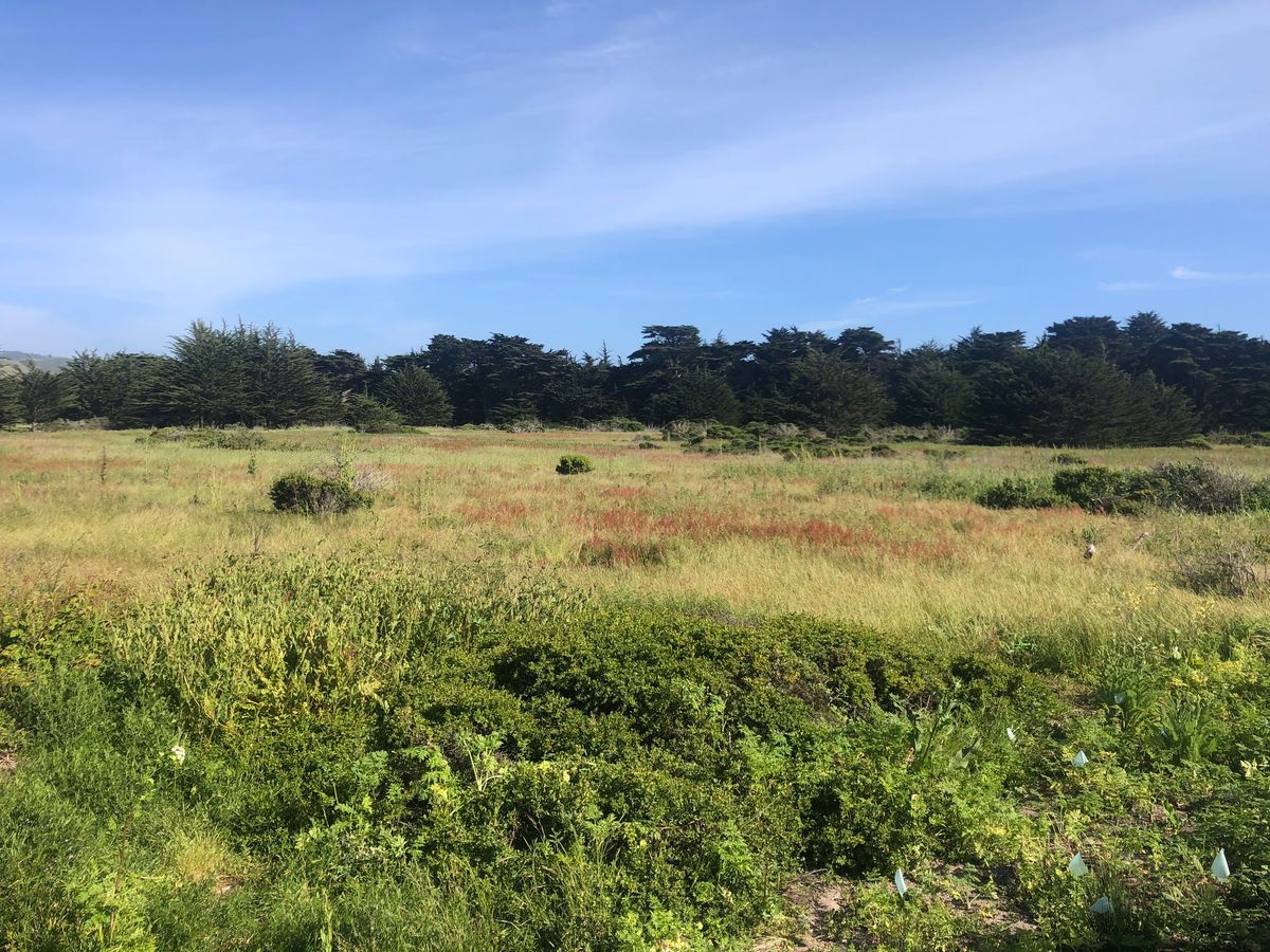 Coastside Land Trust