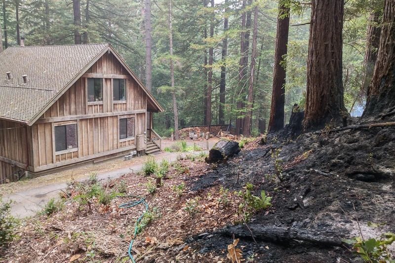Brush Hog Tree Care Inc